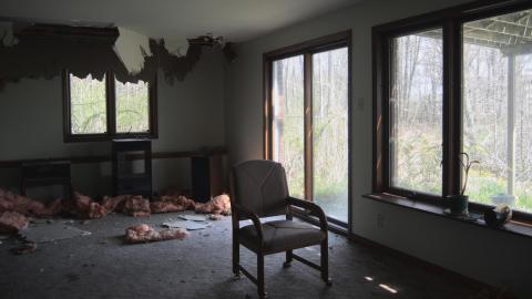 Photo from Swamp Thing - May 2013