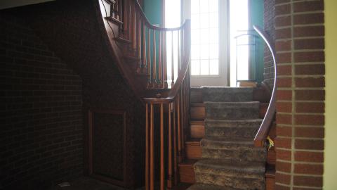 Swamp Thing - May 2013 - DSC_0075.JPG