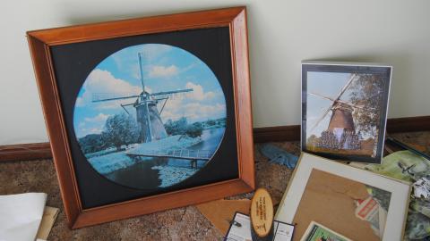 Swamp Thing - May 2013 - DSC_0078.jpg