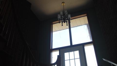 Swamp Thing - May 2013 - DSC_0080.jpg