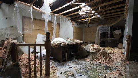 Return of the Swamp Thing - February 2017 - DSC_0826.jpg