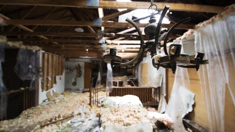 Return of the Swamp Thing - February 2017 - DSC_0827.jpg