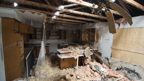 Return of the Swamp Thing - February 2017 - DSC_0831.jpg