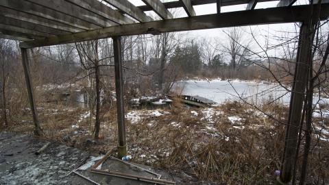 Photo from Return of the Swamp Thing - February 2017