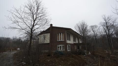 Return of the Swamp Thing - February 2017 - DSC_0845.jpg