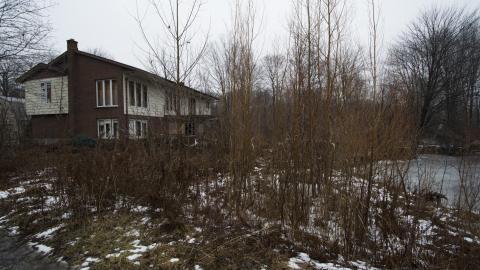 Return of the Swamp Thing - February 2017 - DSC_0846.jpg