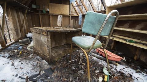 Return of the Swamp Thing - February 2017 - DSC_0848.jpg