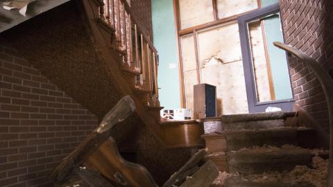 Return of the Swamp Thing - February 2017 - DSC_0822.jpg