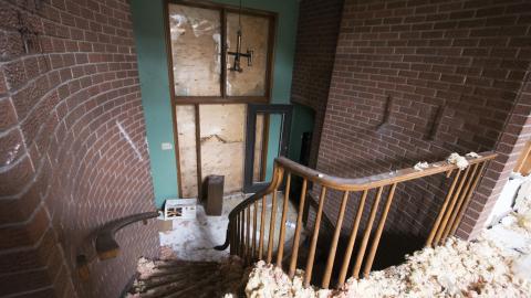 Return of the Swamp Thing - February 2017 - DSC_0836.jpg