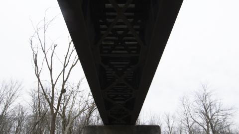 Photo from 420 Zone - March 2017