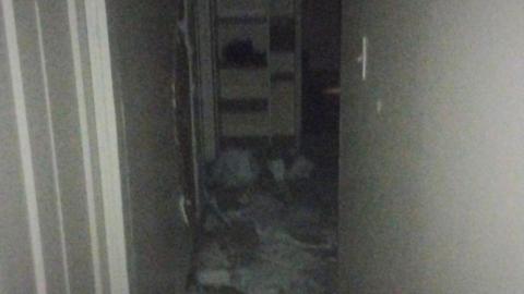 Erb and king photo 3