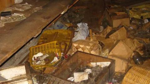 Birch Grove Farm Feb 19 2012 - IMG_5840.jpg