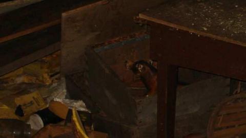 Birch Grove Farm Feb 19 2012 - IMG_5845.jpg