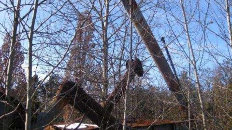 Photo from Grain Thresher