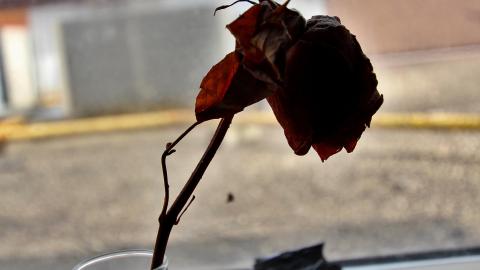 Upper Apartment - APRIL 2022 - IMG_5158.JPG