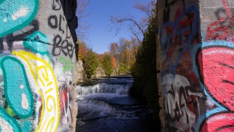 2022 - Fall Colors - IMG_3120.JPG