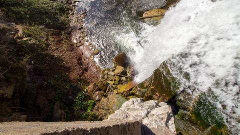 Photo from 2022 - Fall Colors