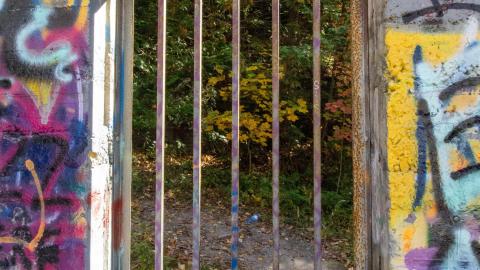 Photo from 2022 - Fall Colors