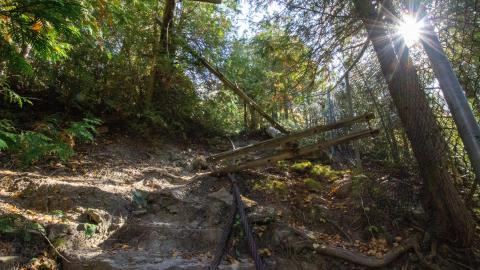 2022 - Fall Colors - IMG_3142.JPG