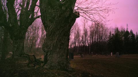 Spooky Love Cemetery Trailer - 2DE06632-ABA2-401E-9BCF-1698AE01BB5F.JPG