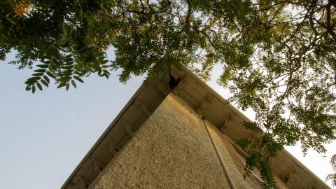 The Cowan House photo 5