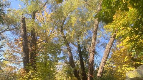 Ruins Of The Credit - 8631D1CD-69B4-4635-8887-53158EAC15FF.jpeg