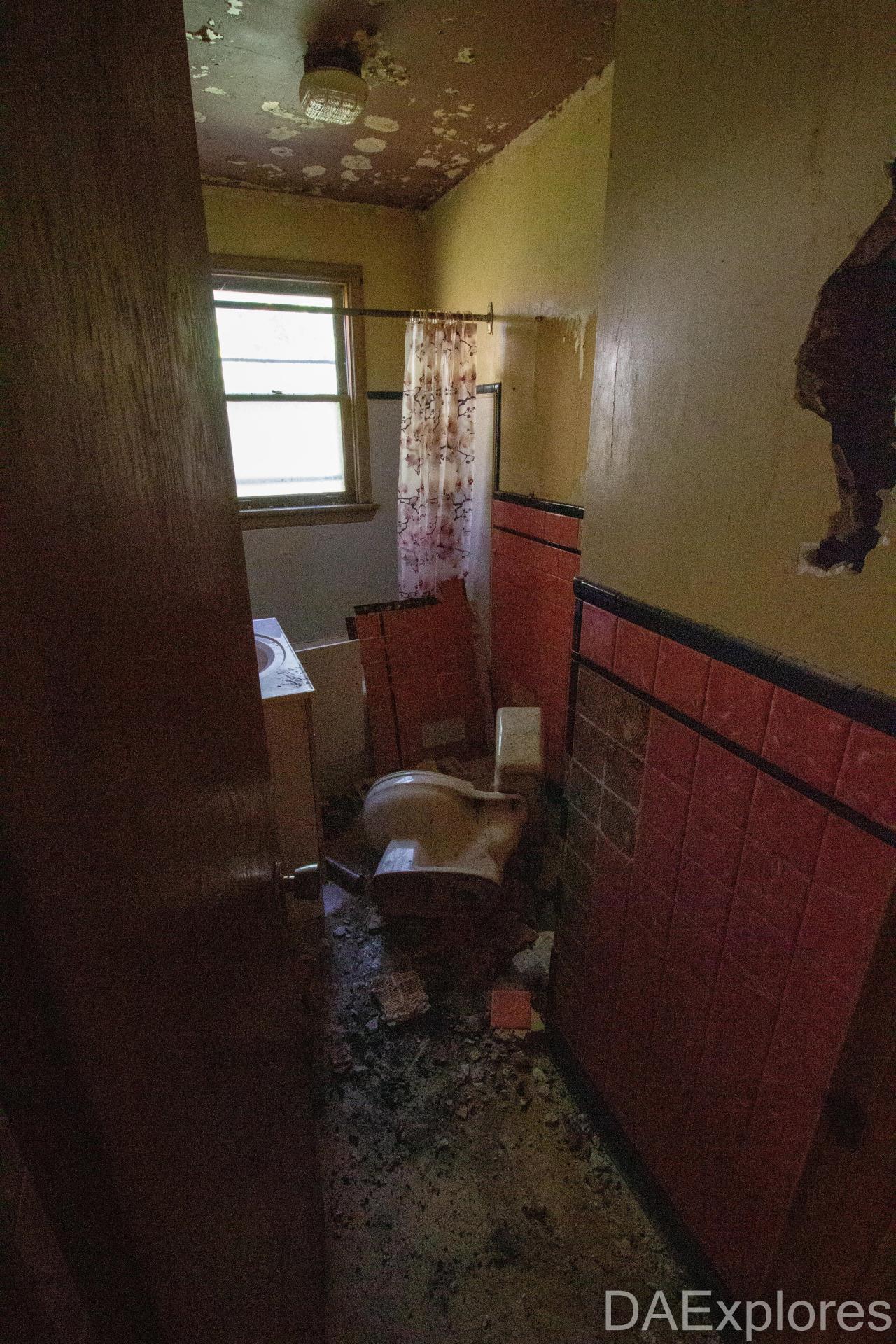 812 Rossland E - Live Green, Live Better - IMG_3215.JPG