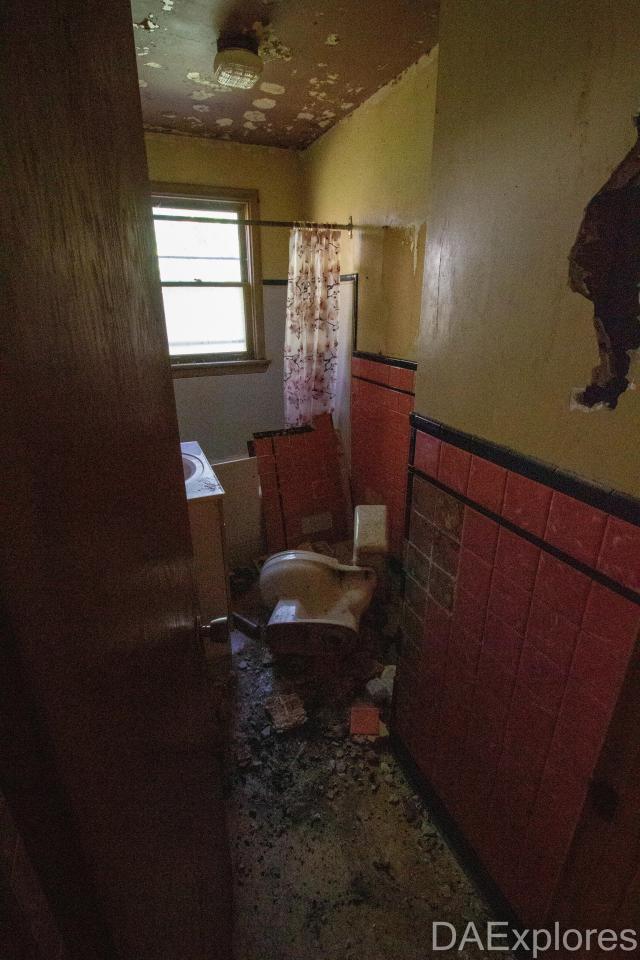 The Whitby 5 photo 2