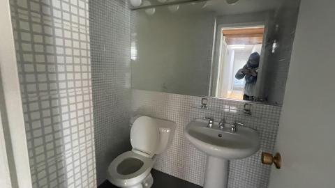 mid century modern mansion photo 4