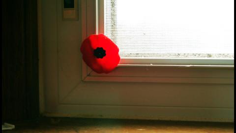 November 2012 - DSC_0068.jpg