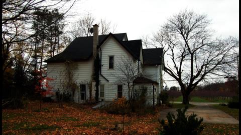 November 2012 - DSC_0069.jpg