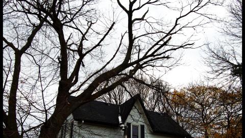 November 2012 - DSC_0074.jpg