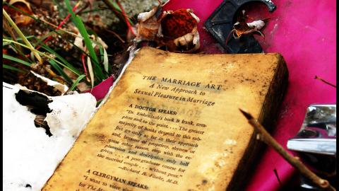 November 2012 - DSC_0080.jpg