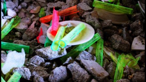 November 2012 - DSC_0084.jpg