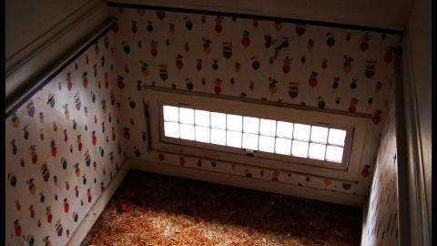 November 2012 - DSC_0206.jpg