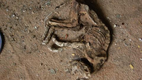 June 2012 - DSC_0230.JPG