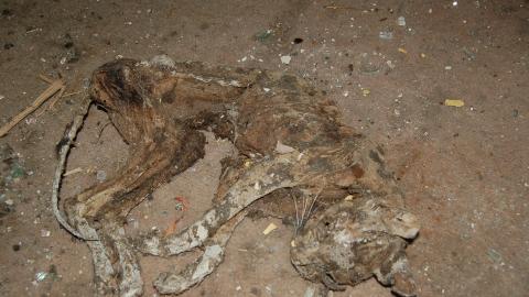 June 2012 - DSC_0233.JPG