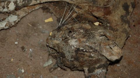 June 2012 - DSC_0231.JPG