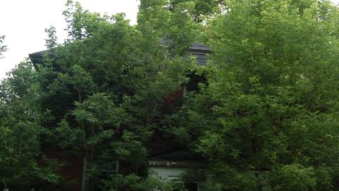 June 2012 - DSC_0250.JPG