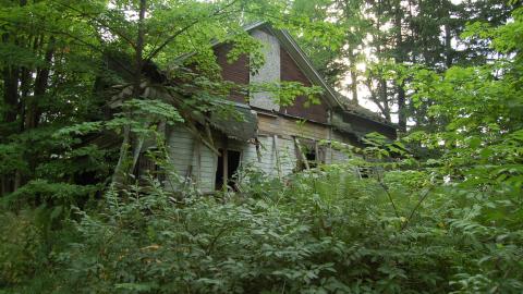 June 2012 - DSC_0251.JPG