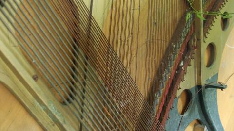 July 2012 - DSC_0210.JPG