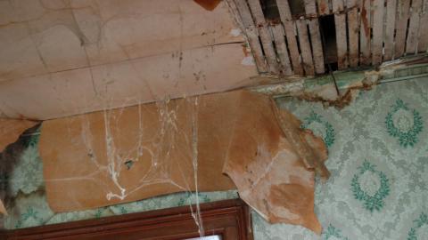 August 2012 - DSC_0245.JPG