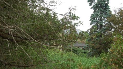 August 2012 - DSC_0280.JPG