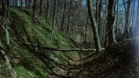 Photo from A Day in Eagle