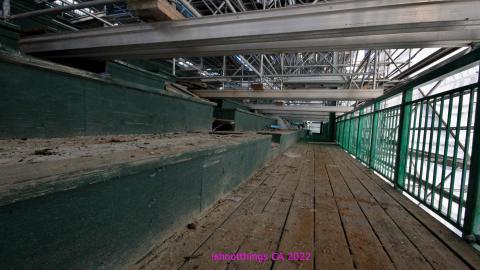 ACTIVLEY Being Proven Wrong - IMG_0906.JPG