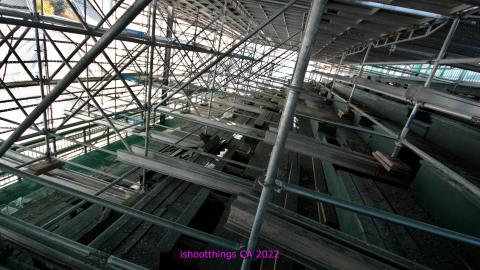 ACTIVLEY Being Proven Wrong - IMG_0926.JPG