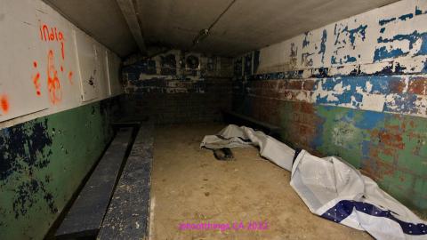 ACTIVLEY Being Proven Wrong - IMG_0950.JPG