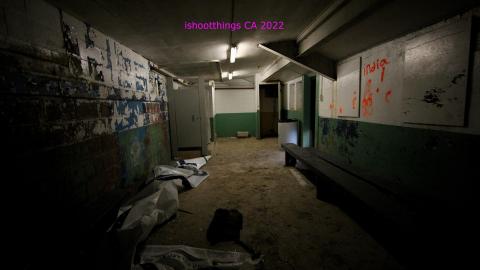 ACTIVLEY Being Proven Wrong - IMG_0952.JPG