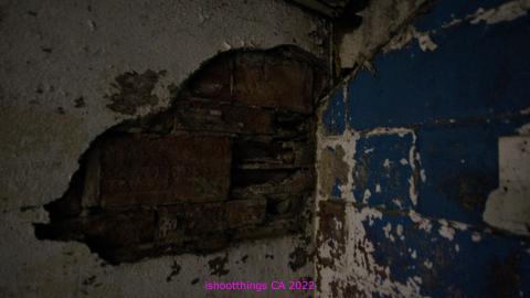 ACTIVLEY Being Proven Wrong - IMG_0953.JPG