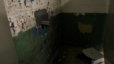 ACTIVLEY Being Proven Wrong - IMG_0957.JPG